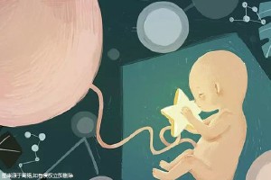 好孕故事